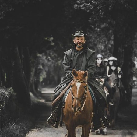 Glamping In Toscana, Luxury Tents In Agriturismo Biologico Sorano  ภายนอก รูปภาพ