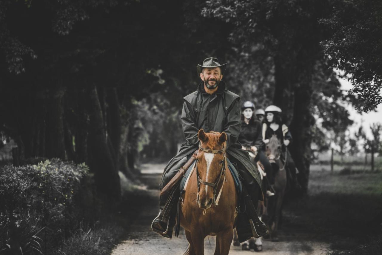 Glamping In Toscana, Luxury Tents In Agriturismo Biologico Sorano  ภายนอก รูปภาพ